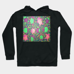 Turtles on the Rainbow Rocks Hoodie